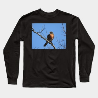 American Robin, Wild birds, Wildlife Gifts Long Sleeve T-Shirt